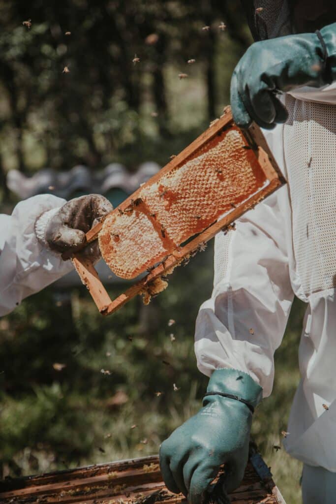 The Power of Honey: Nature’s Sweet Gift for Health and Wellness 2 bee keeper