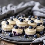 Keto Vanilla Blueberry Cheesecake Bites