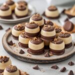 Frozen Greek Yogurt Peanut Butter Bites with Chocolate