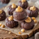 Chocolate Covered Peanut Butter Frozen Yogurt Bites (Vegan)