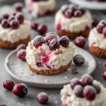 No-Bake Cottage Cheese Cranberry Cheesecake Bites