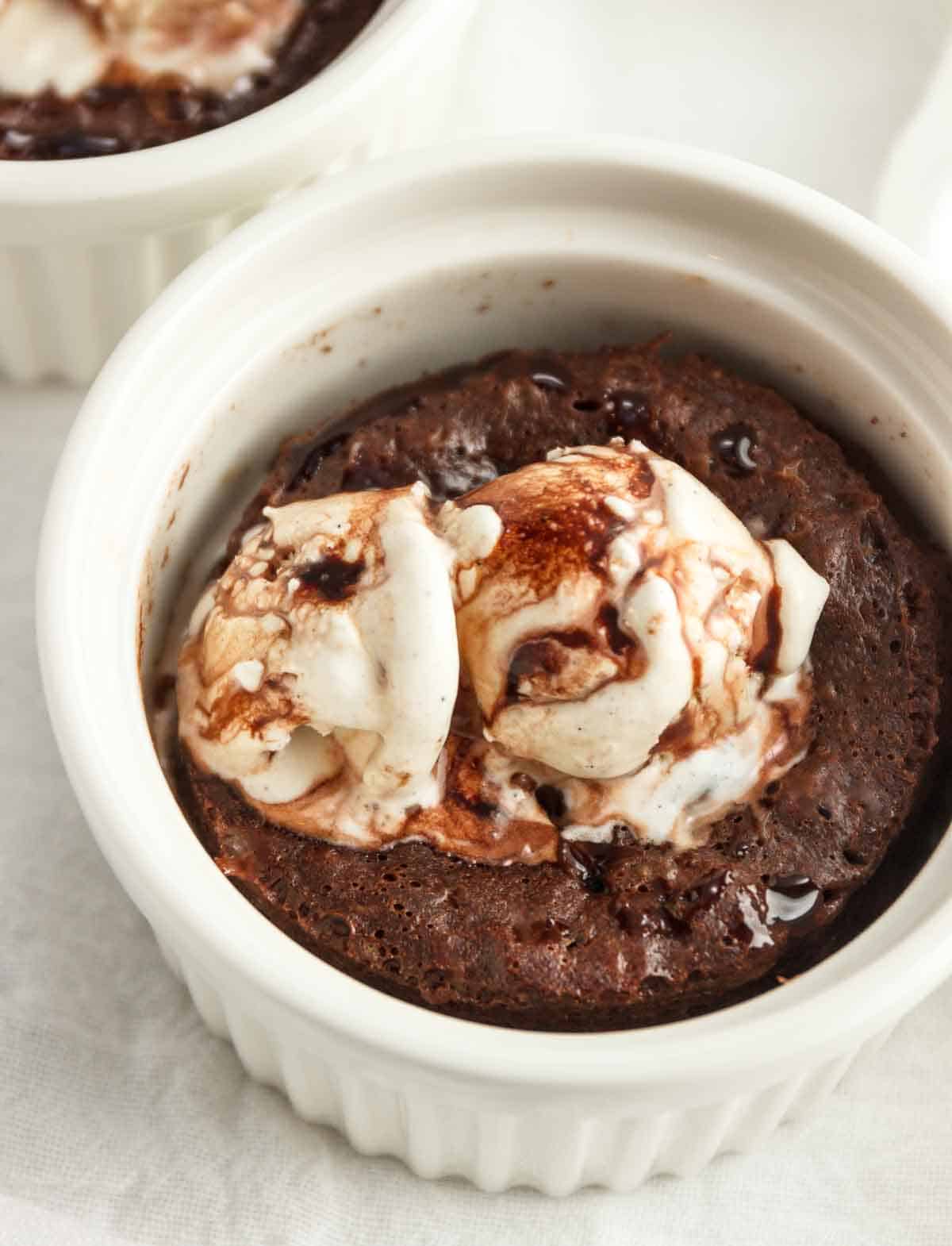 Cottage Cheese Chocolate Mug Cake Easy Dessert Recipe