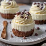 High Protein Mini Cheesecake (Gluten Free)