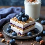 Blueberry Hazelnut Protein Frozen Yogurt Bars