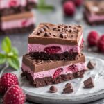 Frozen Chocolate Raspberry Greek Yogurt Bars