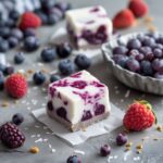 Elderberry Coconut Protein Frozen Yogurt Bars
