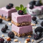 Blackberry Hazelnut Protein Frozen Yogurt Bars