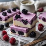 Blackberry Vanilla Protein Frozen Yogurt Bars